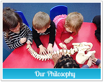 Children Touching Model of Spine